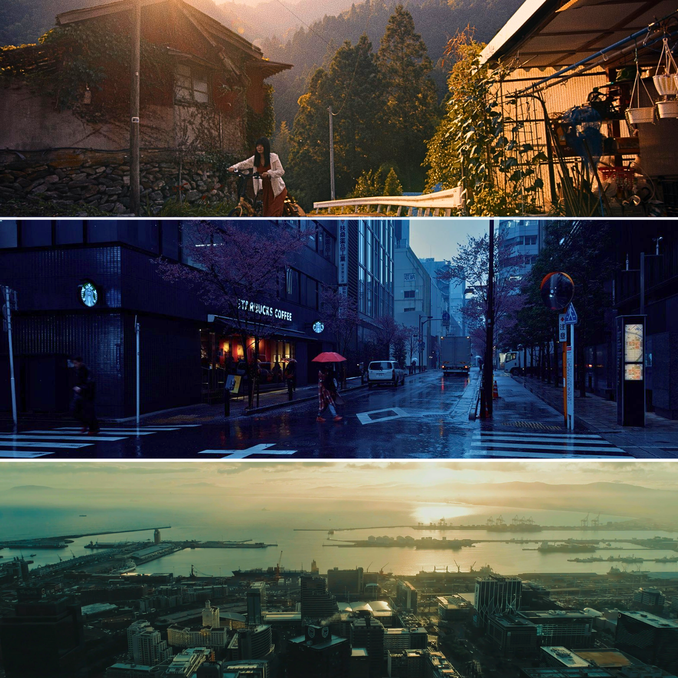Cinematic LUTs Bundle (UPGRADED)